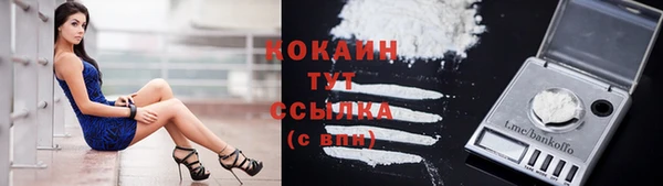 мяу мяу мука Аша