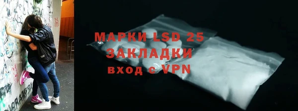 крисы Анжеро-Судженск