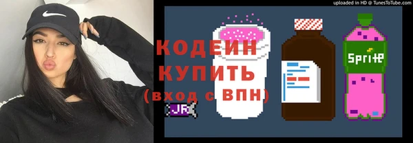 крисы Анжеро-Судженск