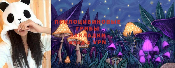 ПСИЛОЦИБИНОВЫЕ ГРИБЫ Бабаево