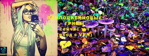 мяу мяу мука Аша