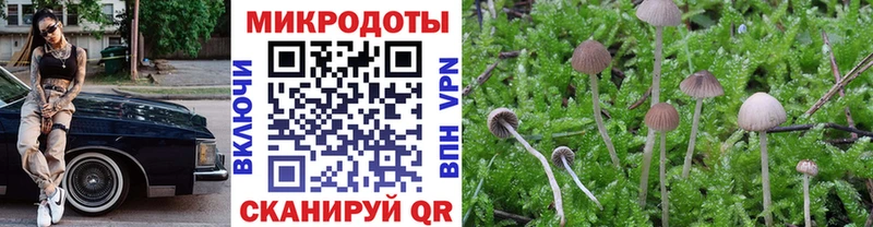 Псилоцибиновые грибы Magic Shrooms Донской
