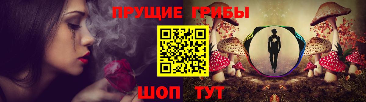 Псилоцибиновые грибы GOLDEN TEACHER  Псилоцибиновые грибы Magic Shrooms  Донской  Вход с VPN 